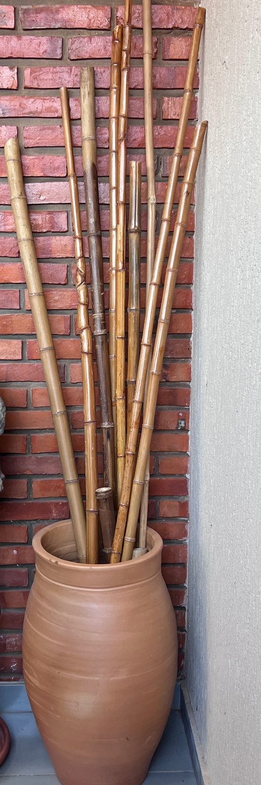 Maceta de barro y barras de bambú decorativo